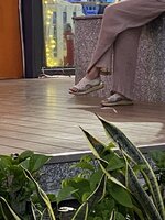 IMG_3625.jpeg