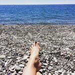 IMG_2365.jpeg