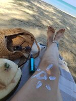 IMG_2370.jpeg