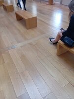 IMG_20230818_173731.jpg