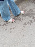 IMG_20230819_141153.jpg