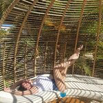 IMG_2699.jpeg