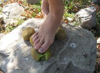 IMG_20240724_065623.jpg