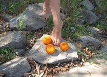 IMG_20240724_065543.jpg