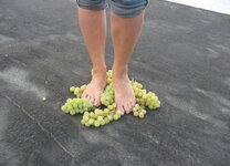IMG_20240813_051728.jpg