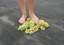 IMG_20240813_051658.jpg