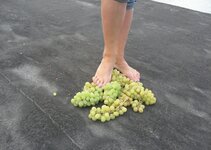 IMG_20240813_051602.jpg