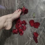 IMG_7392.jpeg
