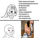 IMG_20241129_221705_765.jpg