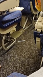 20240908_021958.jpg