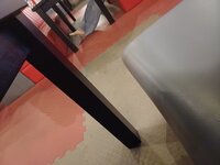 20240429_185348.jpg