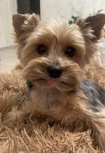 IMG_0513.jpeg