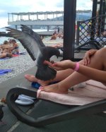 IMG_20250416_125644.jpg