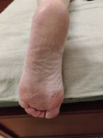 1000064204.jpg