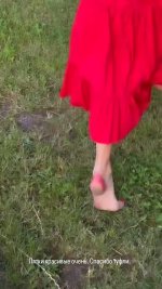Alyona-Vodonaeva-Feet-8035362.jpg