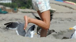 Selena-Gomez-Feet-519762.jpg