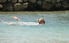 IMG_20250601_231132_784.jpg
