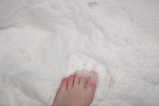 IMG_20250623_230407_586.jpg