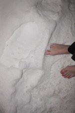 IMG_20250623_230408_788.jpg