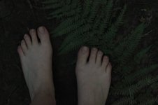 IMG_20250623_230409_835.jpg