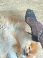 IMG_4449.jpeg