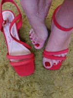 IMG_20250730_160341_445.jpg