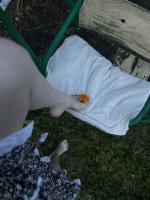 IMG_9565.jpeg