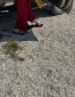 IMG_20250819_180035.jpg