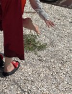 IMG_20250819_180043.jpg