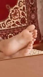 1756066530856.jpg