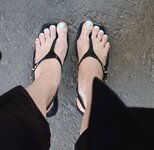 IMG_9103.jpeg