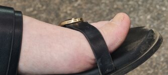IMG_20260521_144317.jpg