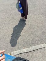 IMG_20260607_144657_606.jpg