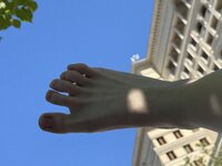 IMG_9394.jpeg