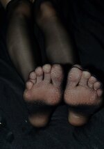IMG_3782.jpeg