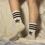 IMG_7548.jpeg