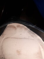 20260810_063651.jpg