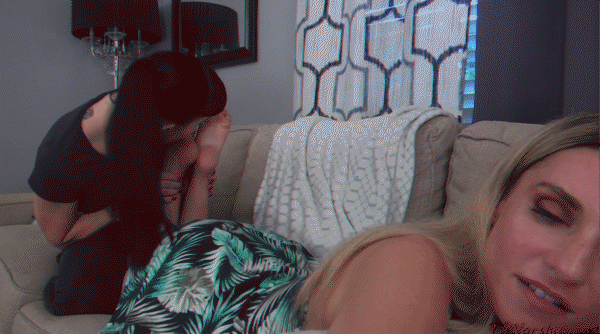 48.1.gif